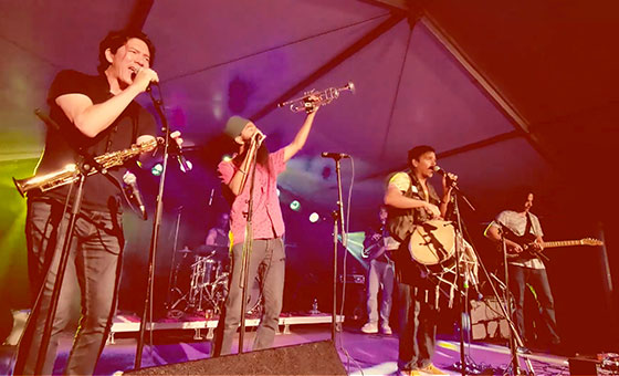 A group of musicians on a stage stand in front of microphones and sing while holding instruments.