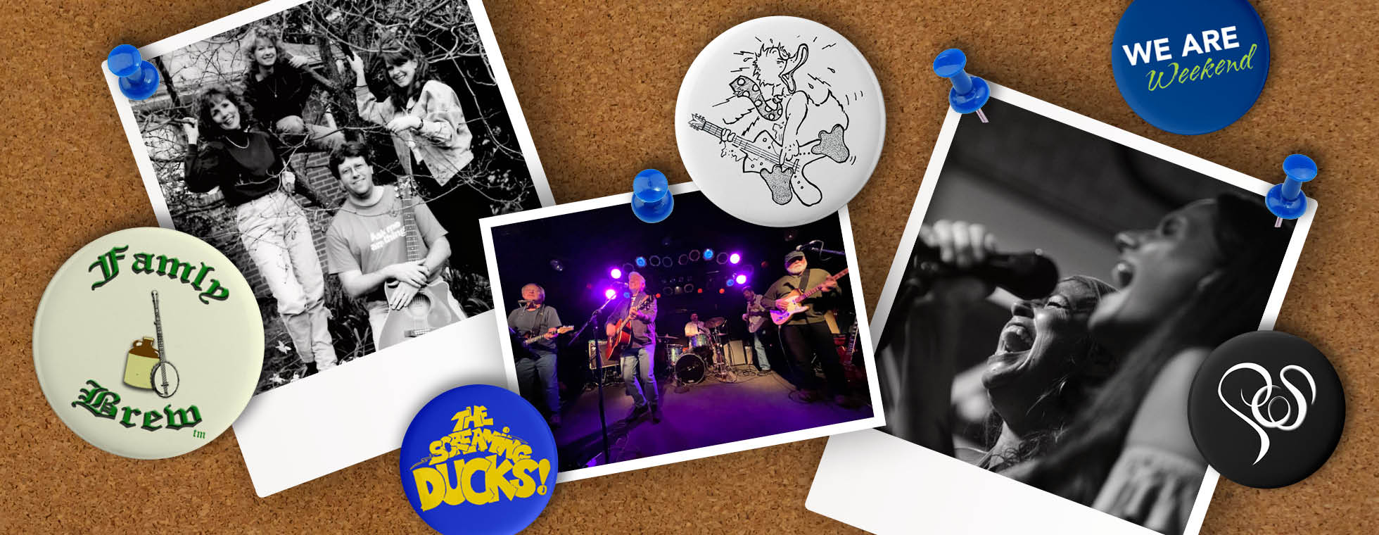 Photos of bands are pinned to a dorm cork board along with collectible badges with the bands' logos.