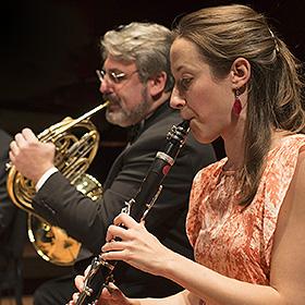 Two musicians sit next to each other and are shown in profile playing their instruments, a French horn and a clarinet.