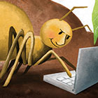 In an illustration, a spider uses a laptop computer.